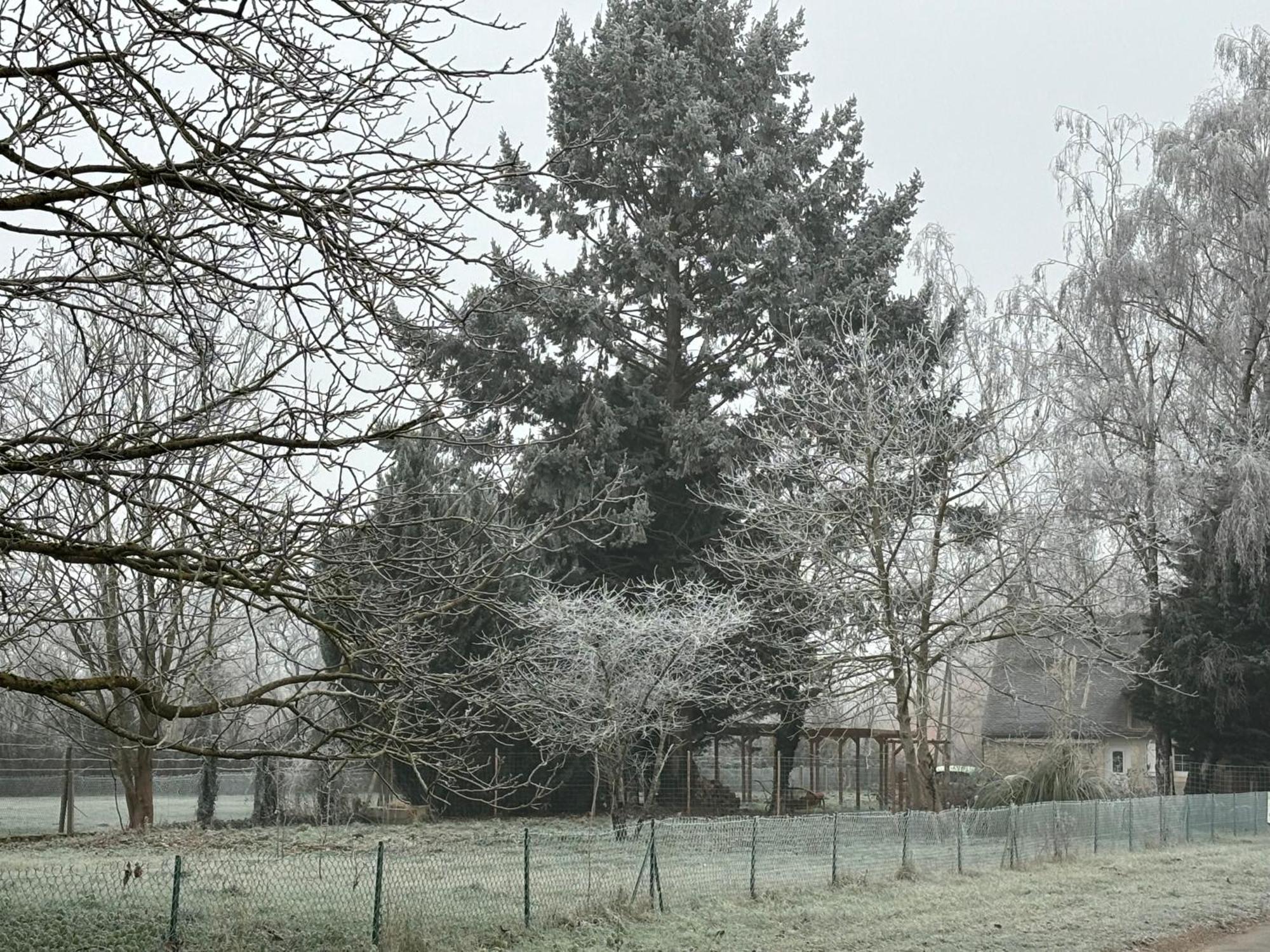La Haute Tremiere Charenton-du-Cher Exterior photo